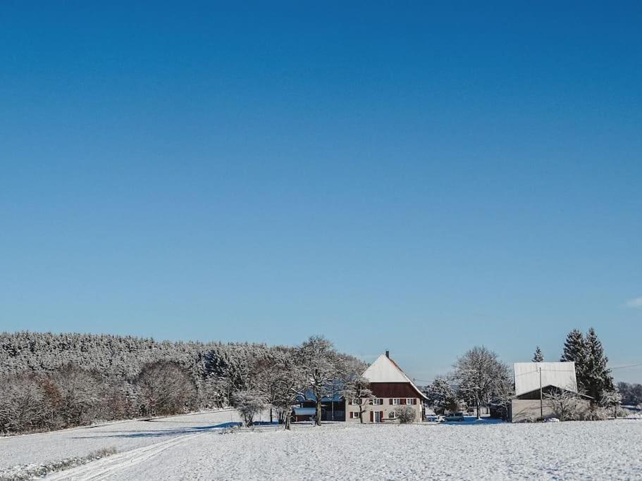 Ferienhof Greuthof Bad Wurzach Esterno foto