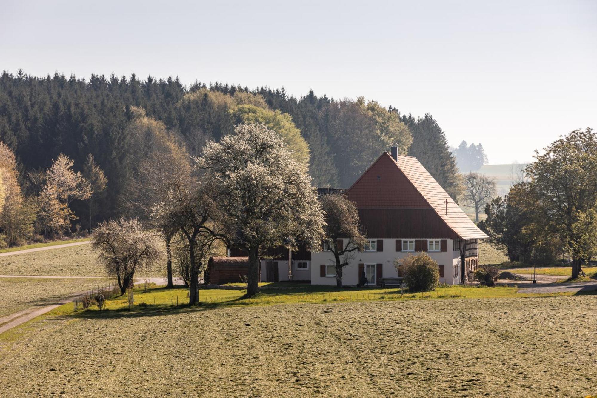Ferienhof Greuthof Bad Wurzach Esterno foto