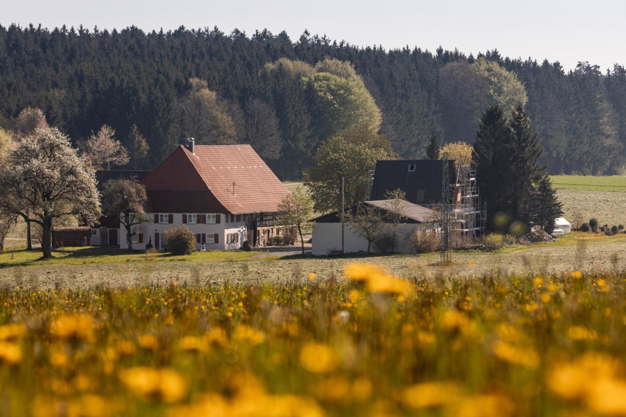 Ferienhof Greuthof Bad Wurzach Esterno foto